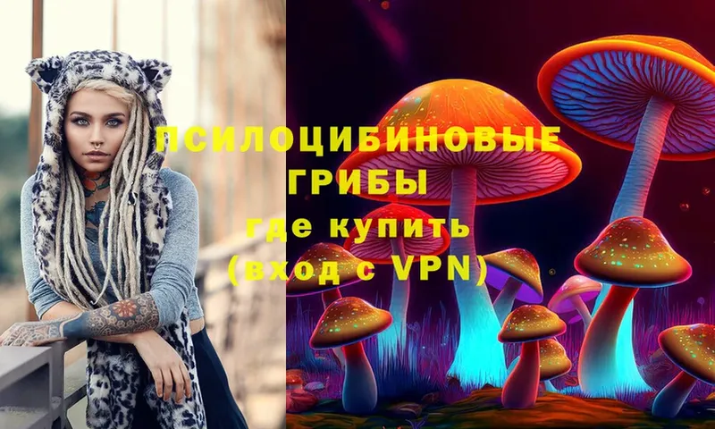 ссылка на мегу сайт  Зеленогорск  Псилоцибиновые грибы MAGIC MUSHROOMS  закладка 